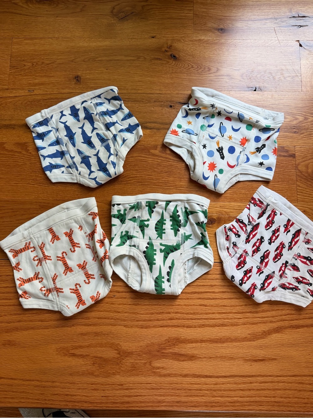 Hanna Andersson Kids S Training Undies Set